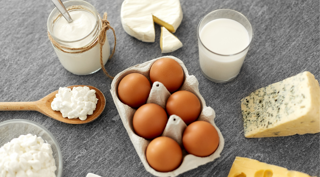 Why Animal Fats and Vitamin K2 are Essential for Metabolic Health