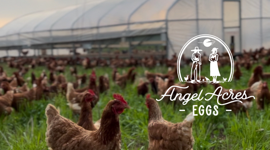 Let’s Clear a Few Things Up About Our Angel Acres Eggs