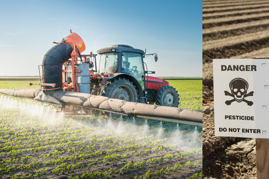 The Truth About Pesticides: Endocrine Disruption, Regulatory Failure, and Food System Fallout