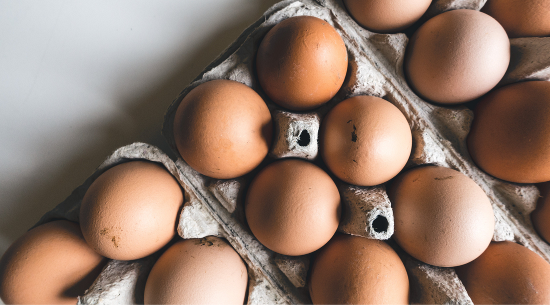 Why Corn and Soy-Free Eggs Are Better for You (and Your Metabolism)
