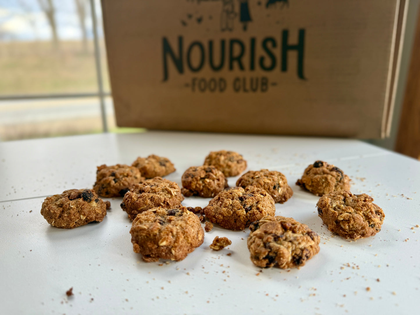 Sourdough Oatmeal Raisin Cookies
