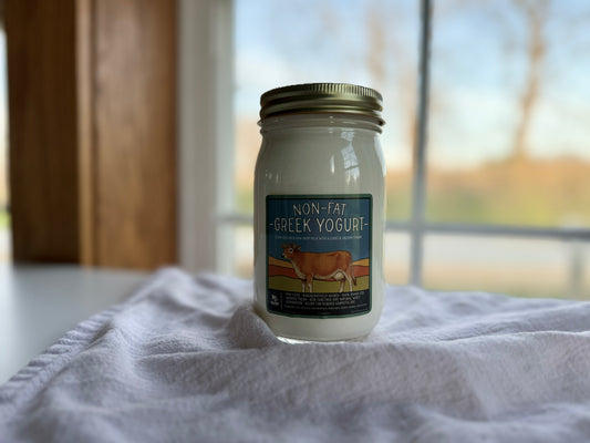 Raw Non-Fat Greek Yogurt