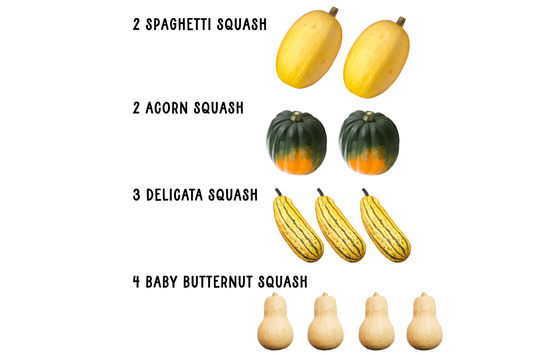 Squash Variety Box