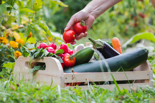 Seasonal Produce Boxes