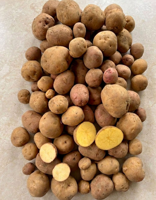 Potato Variety Box
