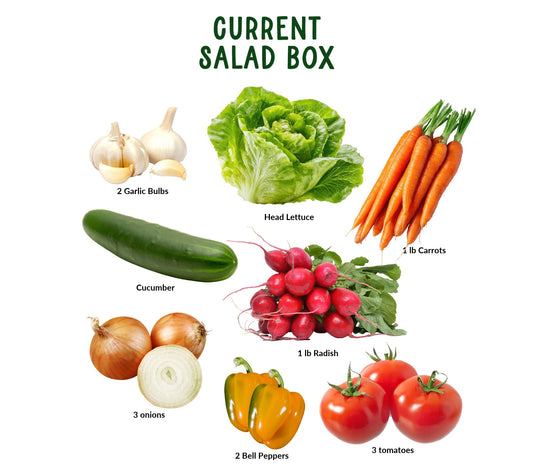 Salad Box