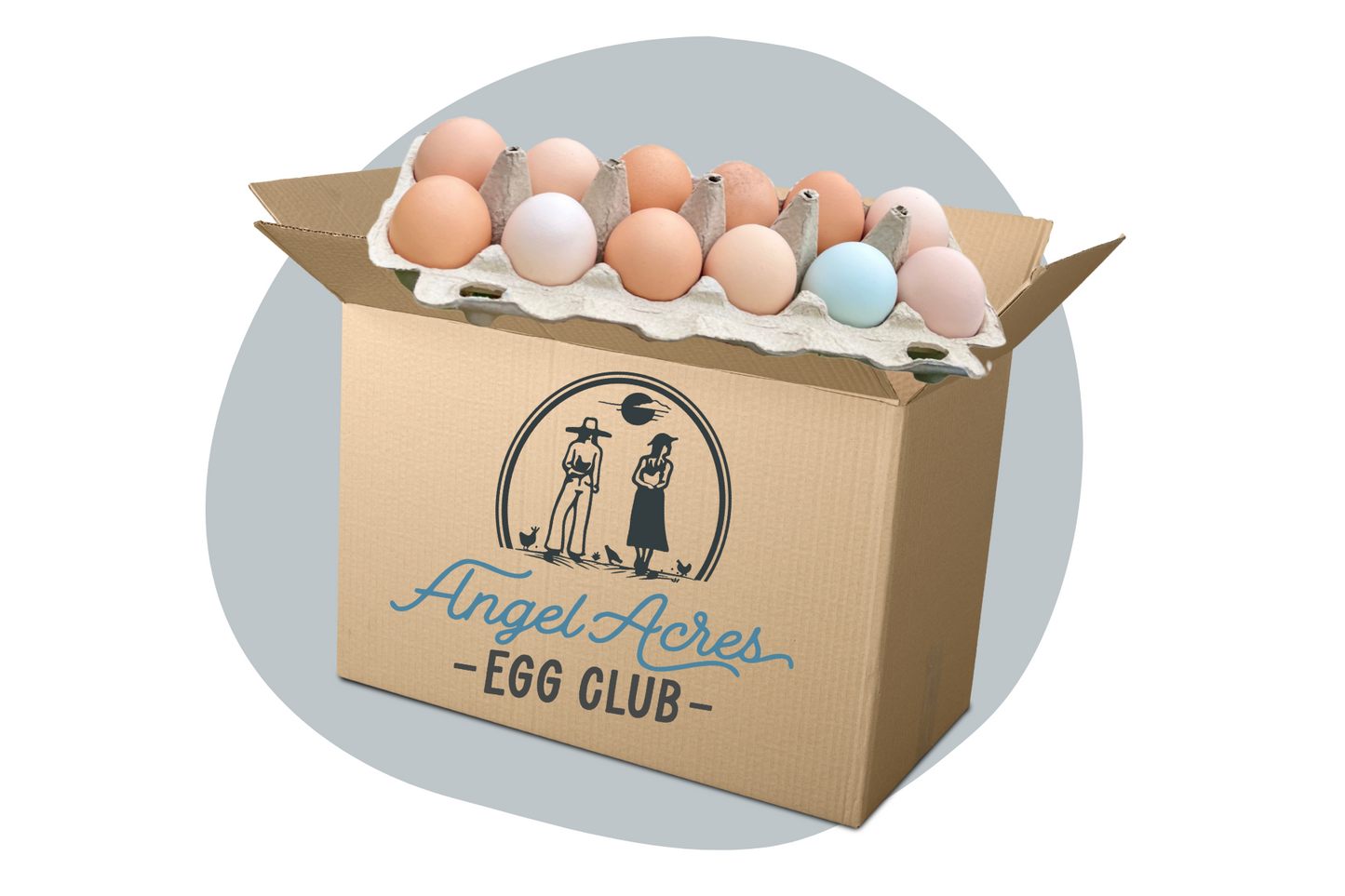 Low PUFA Eggs | Pullet Egg Box | Nourish Food Club