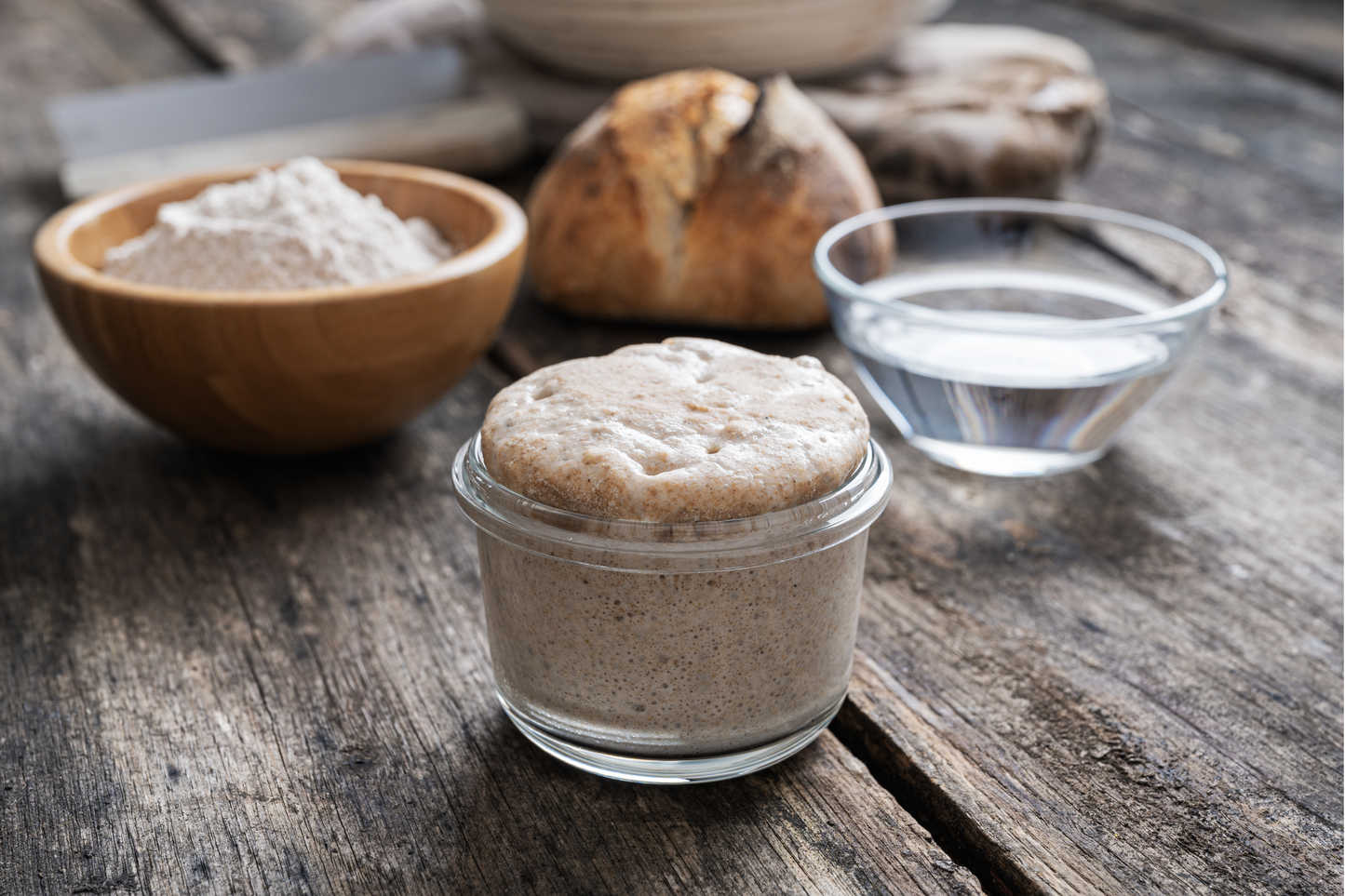 Sourdough Starter Kit | Zone-4