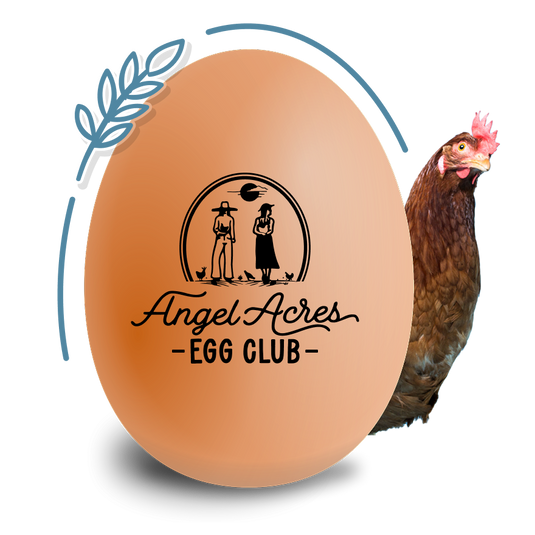 corn and soy free eggs pasture raised corn-soy-free-pasture-raised-eggs-low-pufa