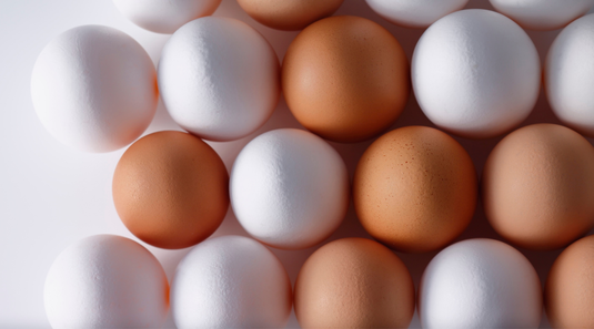 brown vs white eggs