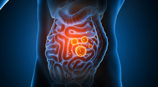 Ancient Gut Wisdom: Why Raw Milk Supports Gut Health