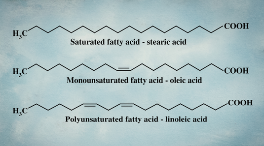 Could This Saturated Fat Help Fight Cancer? The Metabolic Power of Stearic Acid
