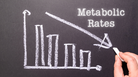 The Hidden Cause of the Obesity Epidemic: Calories Out Are Crashing