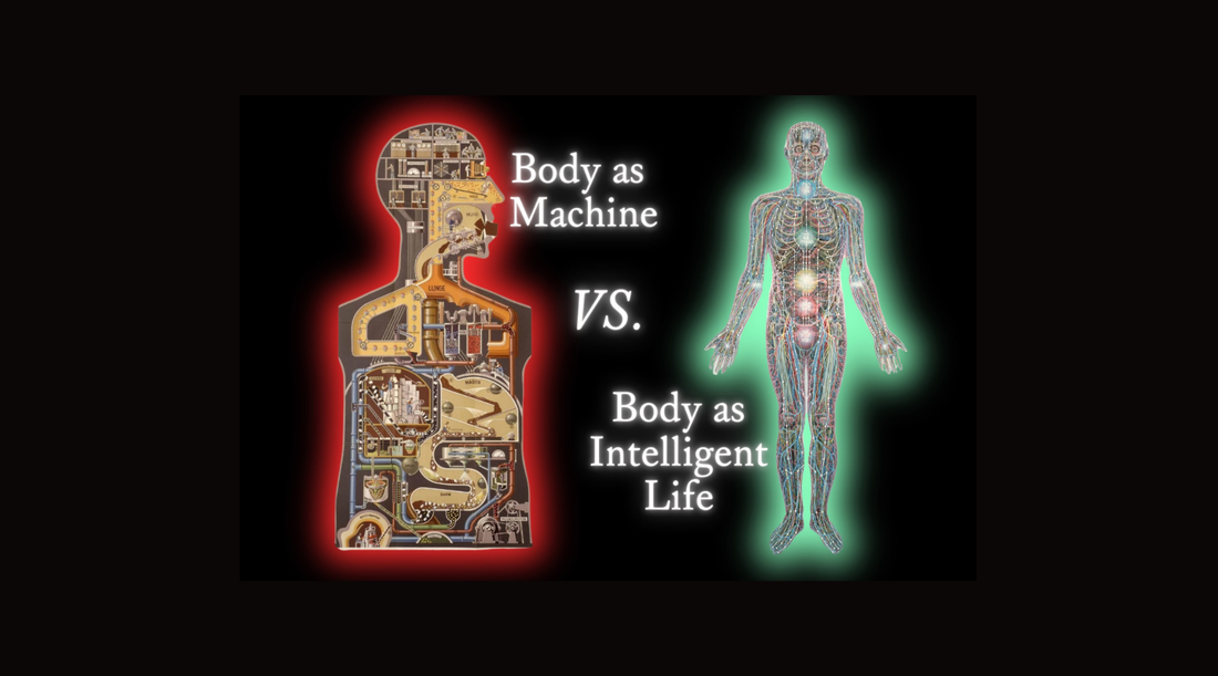 Stop Chasing Protocols: The Foundations First Approach to Health