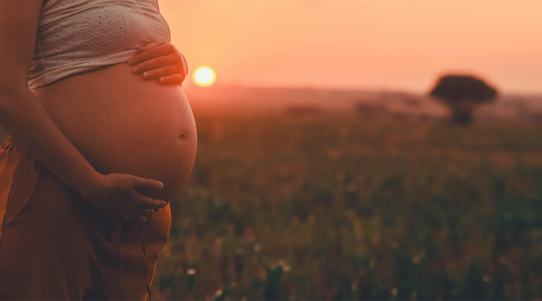 How Modern Diets May Be Fueling the Rise in Autism