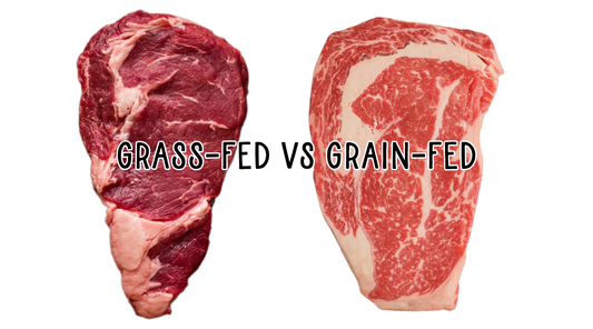 Grass-Fed vs. Grain-Fed Beef: The Metabolic Health Difference You Can See and Taste