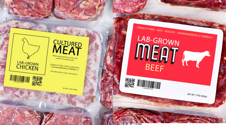 Lab Made Meet Lab-Made Meat vs. Regenerative Farming | Nourish Food Club
