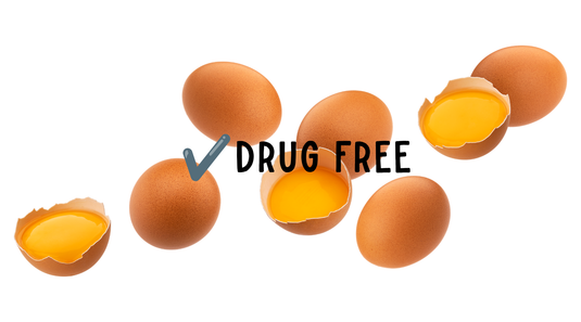 Angel Acres Eggs Tested Drug Free