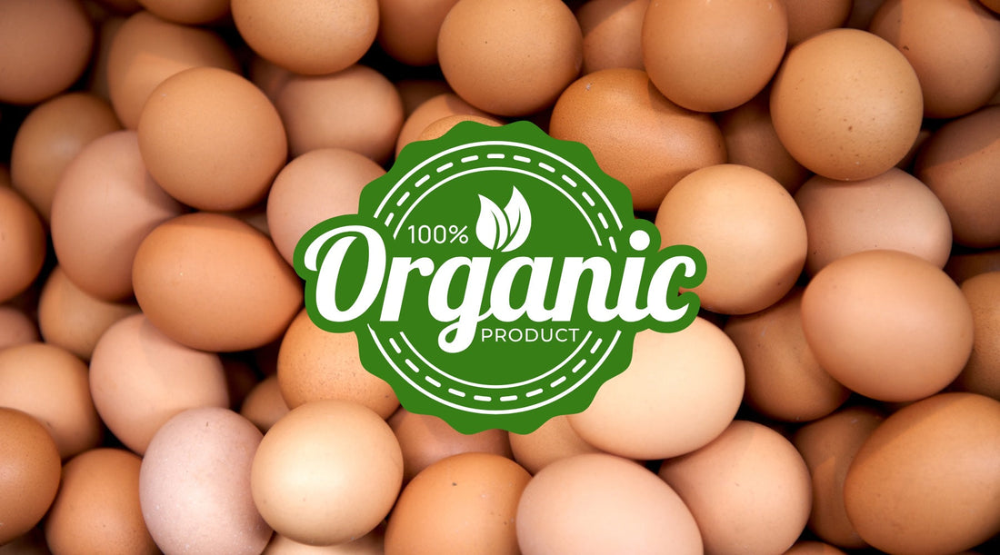 The Truth About Organic Eggs: Feed, Confinement, and PUFA Levels