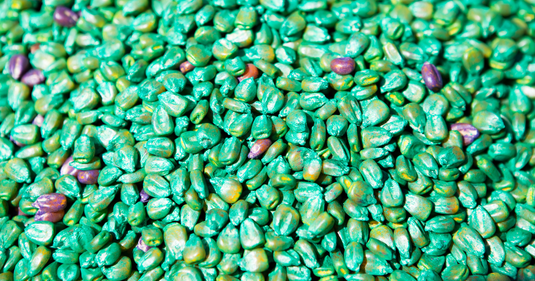 Pesticide-Coated Seeds: The Hidden Source of Chemical Exposure in Food