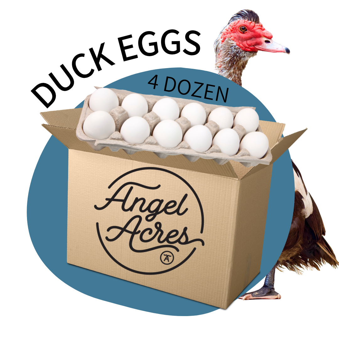 Duck Egg Box