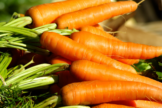 Carrot Box