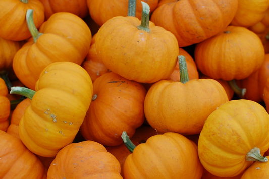 Pie Pumpkin Box