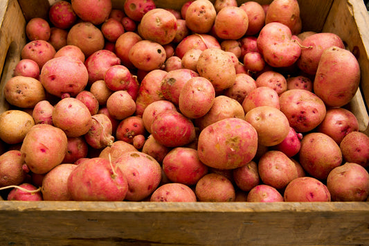 Red Potato Box