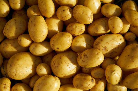 Yellow Potato Box