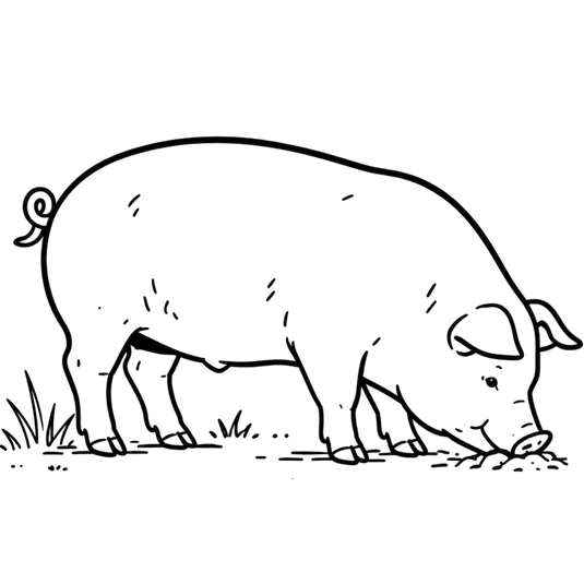 Nourish Food Club 100-grass-fed-beef 