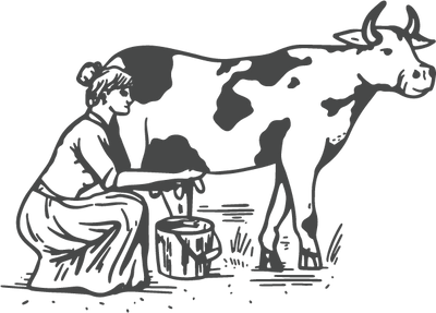 Dairy