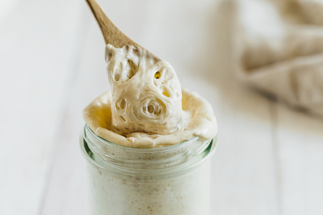 Doughlores Sourdough Starter | Zone-1