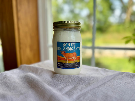 Raw A2 Skyr Yogurt
