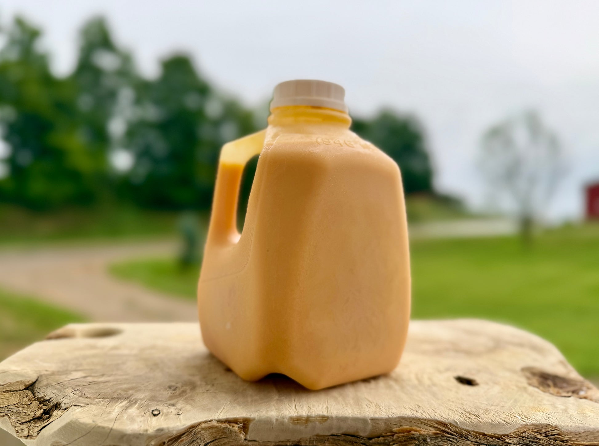 Corn & Soy-Free Liquid Whole Eggs