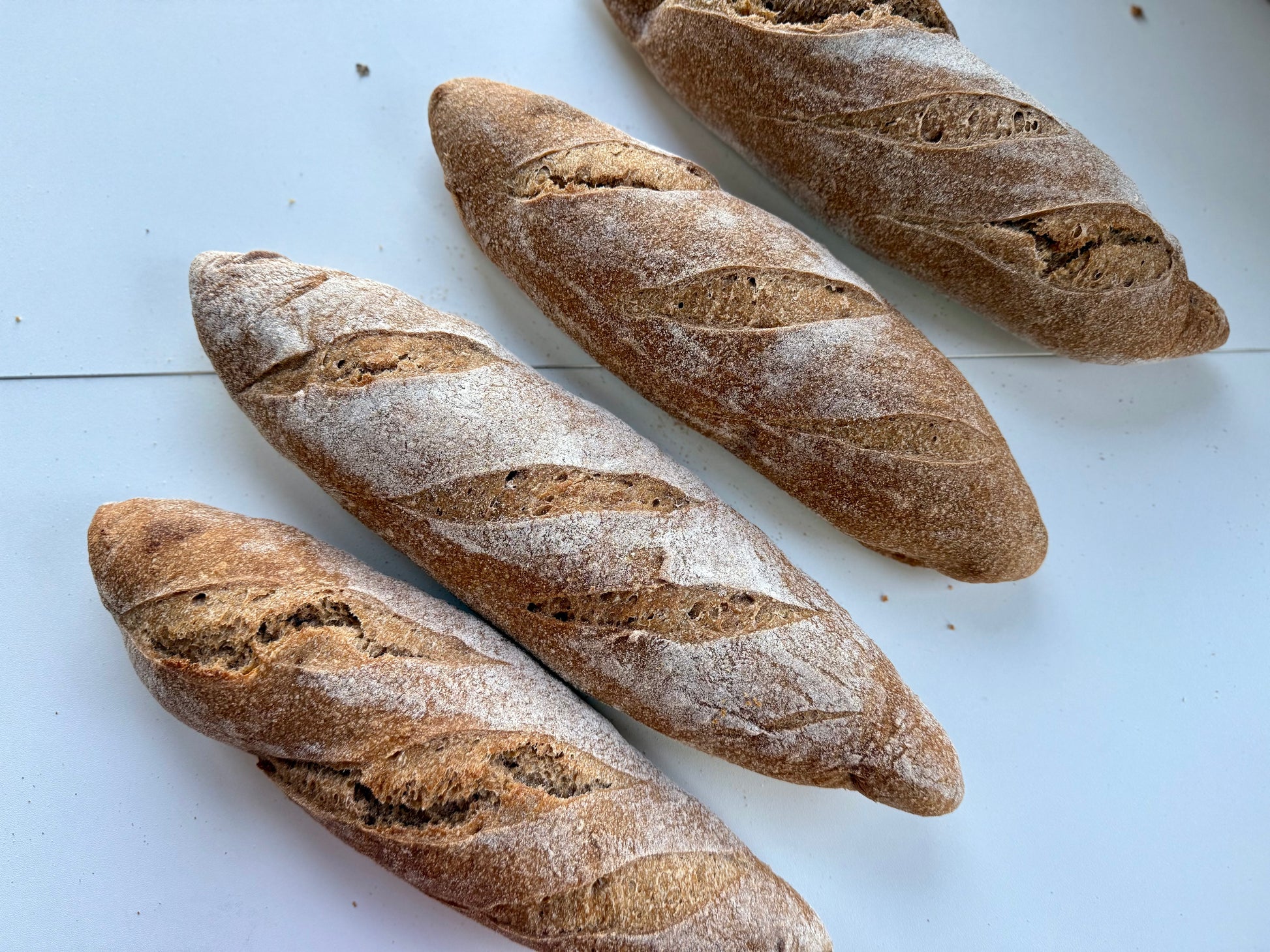Sourdough Baguette