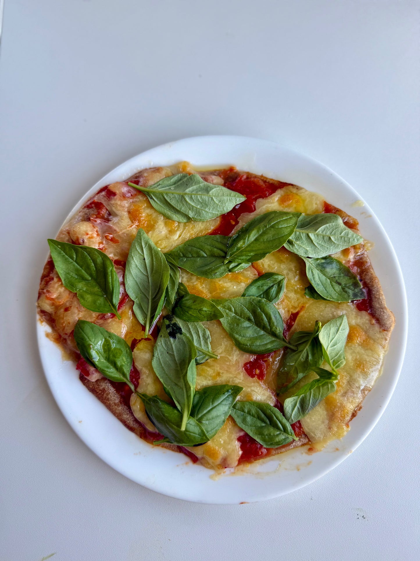 Sourdough Pizza Dough