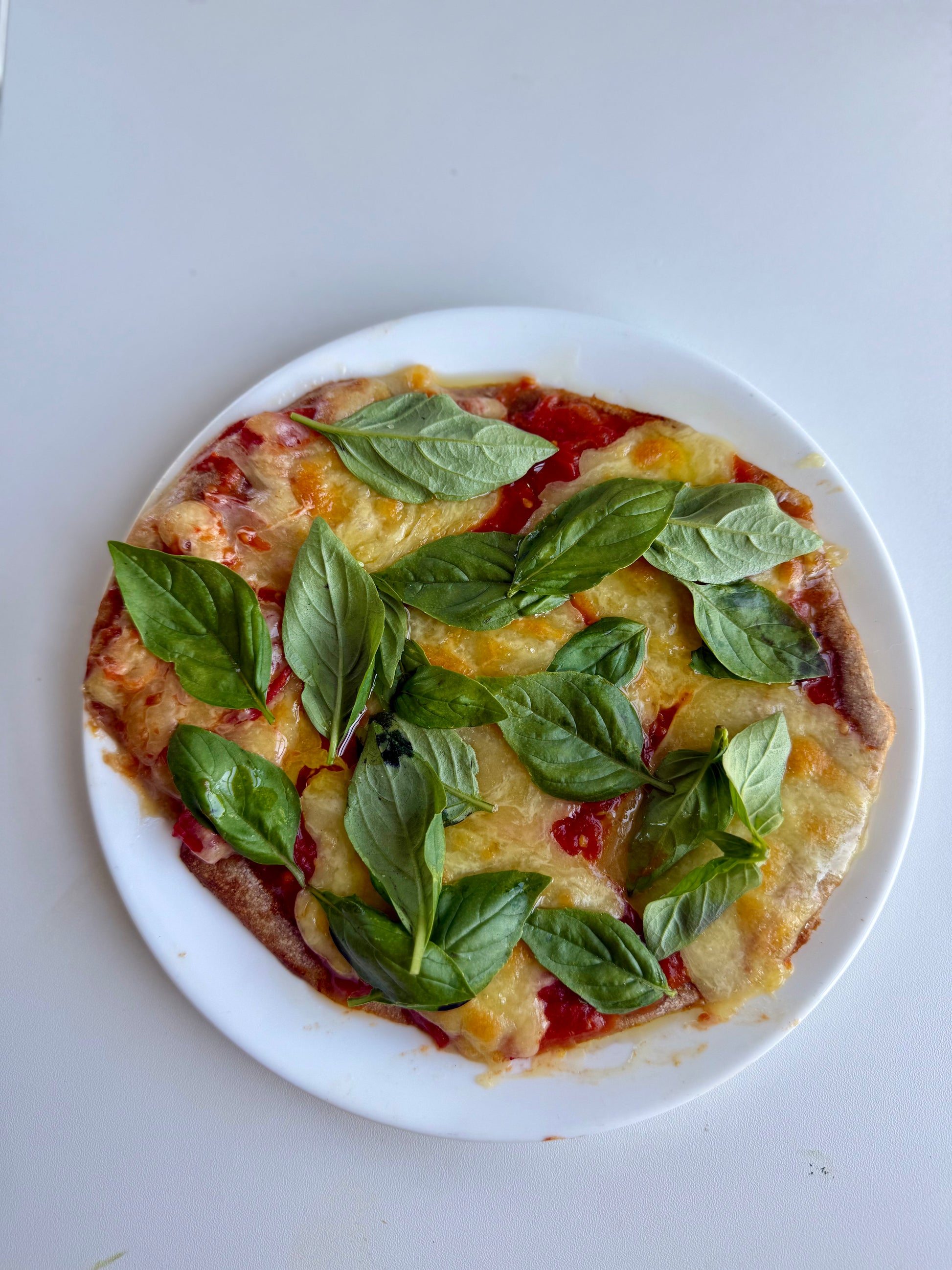 Sourdough Pizza Dough
