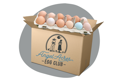 Low PUFA Eggs | Jumbo Egg Box | Nourish Food Club