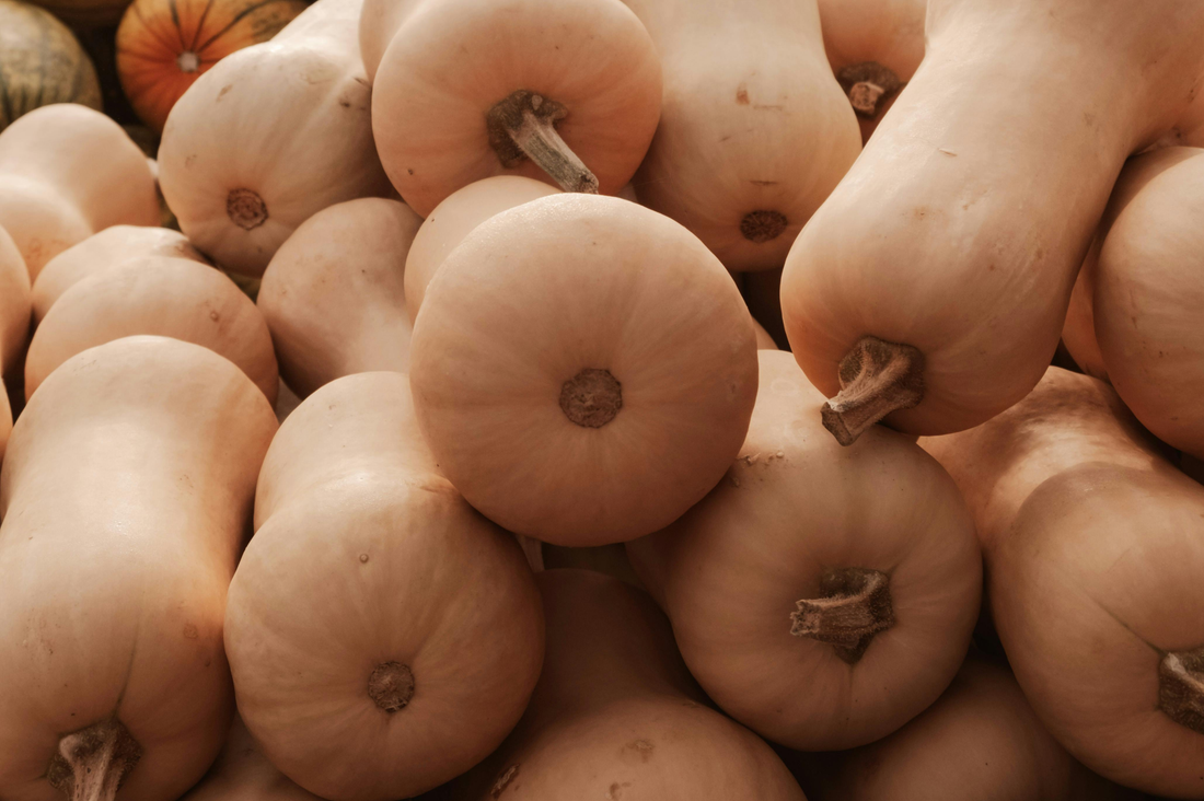 Butternut Squash Box