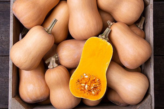 Baby Butternut Squash Box