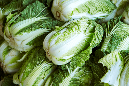 Napa Cabbage Box