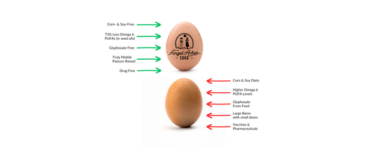 Nourish Food Club low-pufa-corn-soy-free-eggs 