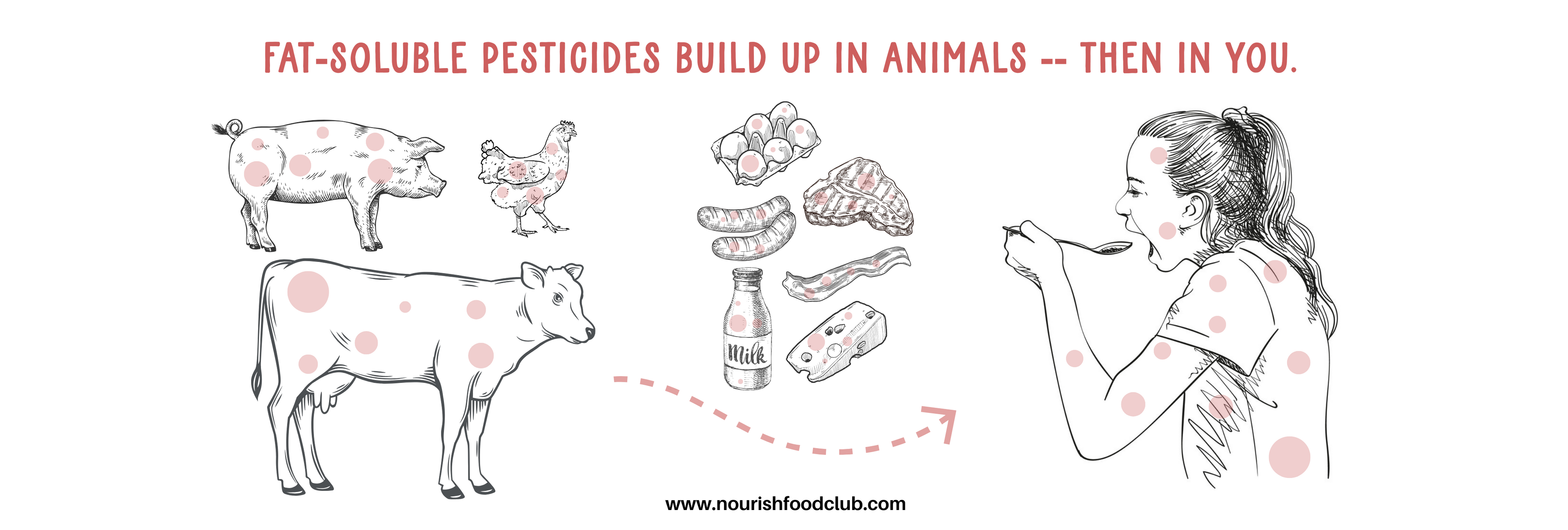 nourishfoodclub