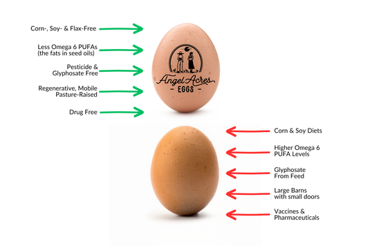 Nourish Food Club low-pufa-corn-soy-free-eggs 