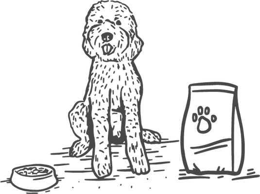 Pet active-products 