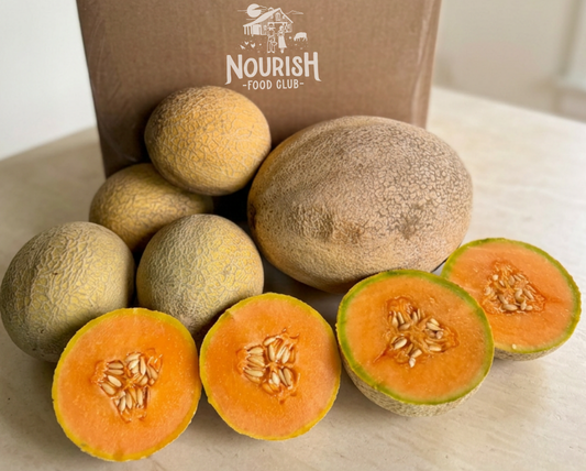 Cantaloupe Box
