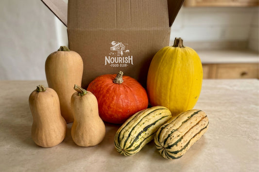 Squash Variety Box