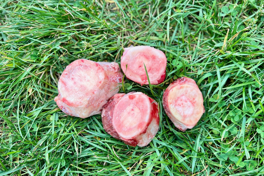 Small Raw Marrow Bones for Pets | Zone-2
