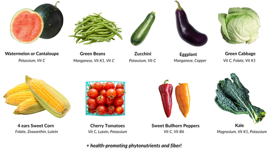 Nourish Food Club