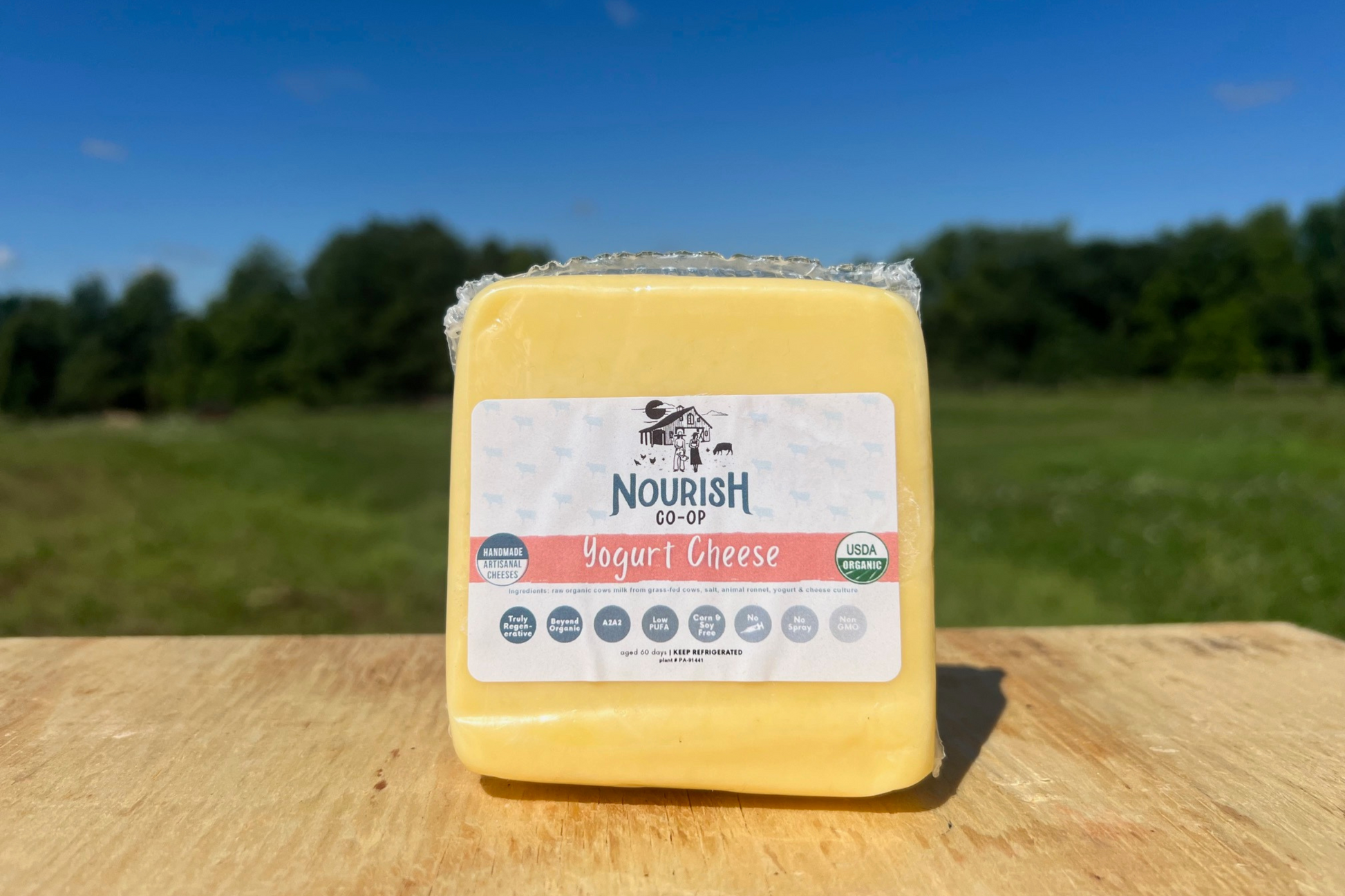 Raw Yogurt Cheese